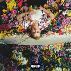 si lk铃木铨集桃树园77
